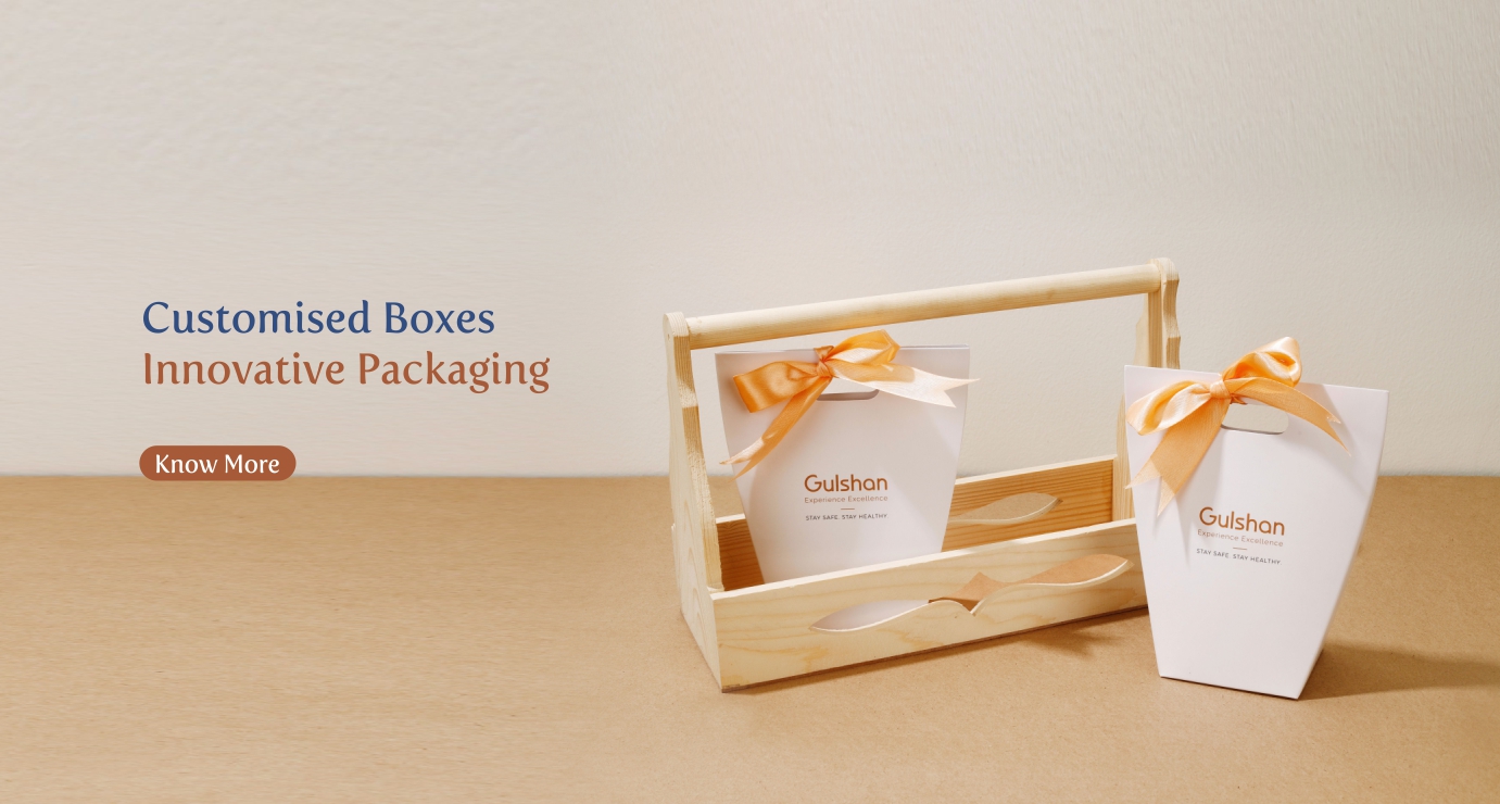 Maxcomm Paper Folding Box for Gulshan company
